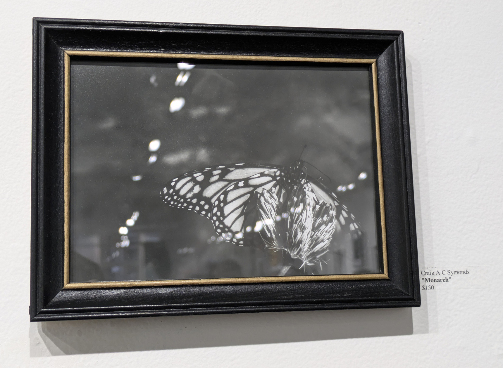 Untitled Untitled